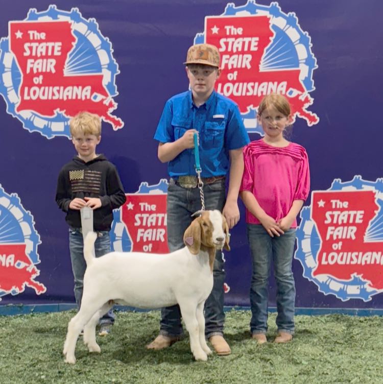 Two boys and a girl with a white goat.